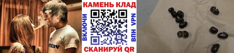 ГАШ Власиха
