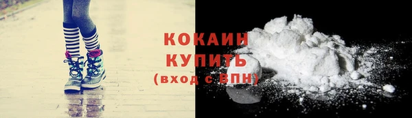 дживик Абинск