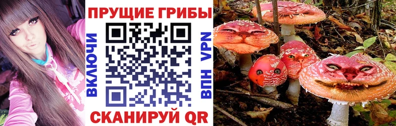 Галлюциногенные грибы мицелий  сайты даркнета клад  Власиха  закладки 